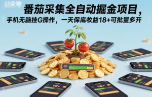 番茄采集全自动掘金项目，手机无脑挂G操作，一天保底收益18+可批量多开【揭秘】-6688资源库