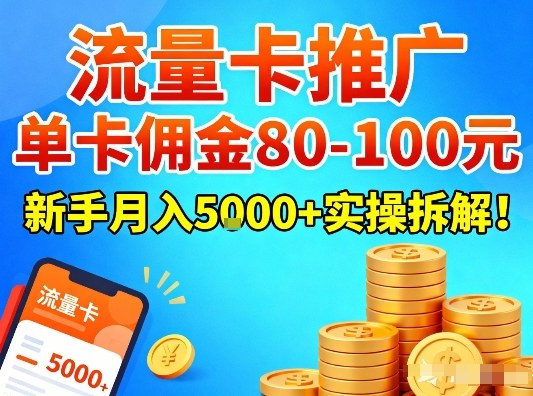 流量卡推广，单卡佣金80-100，新手月入5k+实操拆解！-6688资源库