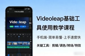Videoleap基础工具使用教学课程，手机端视频剪辑教学，简单易懂，上手速度快-6688资源库