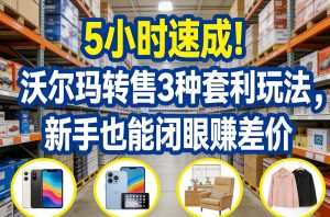 5小时速成！沃尔玛转售3种套利玩法，新手也能闭眼賺差价-6688资源库