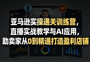 亚马逊实操通关训练营，直播实战教学与AI应用，助卖家从0到精通打造盈利店铺（更新3月）-6688资源库