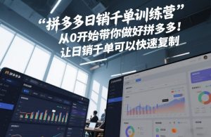 拼多多日销千单训练营，从0开始带你做好拼多多，让日销千单可以快速复制(更新26年3月)-6688资源库