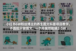 小红书6W粉丝博主的养生图文科普项目教学，不露脸只做图文，一个月居然能搞3-5W-6688资源库