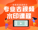 专业去视频水印教程 静态水印、动态水印、文字水印、图片水印一套教程通通搞定-6688资源库