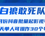 白狼敢死队最新抖音短视频批量起影视号(一天单人可操作30个号)视频课程-6688资源库