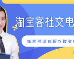 某站内部课程:淘宝客社交电商裂变,精准引流和粉丝裂变模式详解(共6节视频)-6688资源库