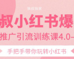 狼叔小红书爆款推广引流训练课4.0，手把手带你玩转小红书-6688资源库