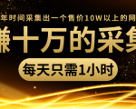年赚十万的采集站,每天却只需要1小时,一年时间采集出一个售价10W以上的网站-6688资源库