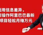 利用信息差异,零投资操作阿里巴巴最新管道项目轻松月赚10000+-6688资源库
