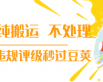 抖音纯搬运 不处理 小技巧,30秒发一个作品,避免违规评级秒过豆荚-6688资源库