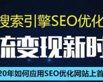 SEO搜索引擎优化总监实战VIP课堂【透析2020最新案例】快速实现年新30W-6688资源库