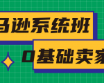 亚马逊系统班，专为0基础卖家量身打造，亚马逊运营流程与架构-6688资源库