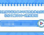 视频号新机制与不刷赞撸养生茶玩法，轻松日赚1000+-6688资源库