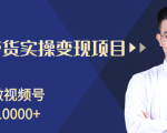 柚子分享课：微信视频号变现攻略，新手零基础轻松日赚千元-6688资源库
