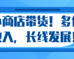 微信小商店带货，爆单多倍收入，长期复利循环！日赚300-800元不等-6688资源库