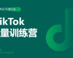 2020最新TikTok流量增长训练营（完结）附PPT-6688资源库