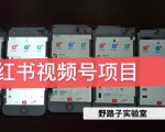 野路子小红书视频号1.0项目,直接上手操作就能赚钱的视频号项目-6688资源库