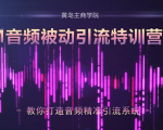 黄岛主·FM音频引流特训营2.0：独家引流模式，单账号50W+播放量，轻松变现-6688资源库