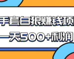 某团队收费项目：空手套白狼，一天500+利润，人人可做-6688资源库