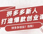 拼多多新人打造爆款创业课：快速引流持续出单，适用于所有新人-6688资源库