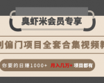 暴利偏门项目全套合集视频教程：你要的日赚1000+月入几万+项目都有-6688资源库