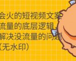 只说话就会火的短视频文案课，从根本上解决没流量的问题-6688资源库