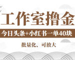 工作室撸金二件套：撸今日头条原创收益+小红书一单利润40块项目-6688资源库