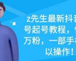 z先生最新抖音美女号起号教程，快速十万粉，一部手机就可以操作-6688资源库