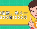 Paypal拉新赚美刀项目，单人一天利润500-1000刀【视频课程】-6688资源库