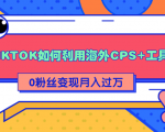 详细解析TIKTOK如何利用海外CPS+工具0粉丝轻松变现月入过万-6688资源库