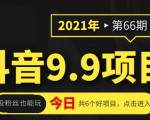 抖音9.9课程项目,没粉丝也能卖课,一天300+粉易变现-6688资源库