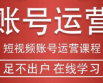 短视频账号运营课程：从话术到短视频运营再到直播带货全流程，新人快速入门-6688资源库