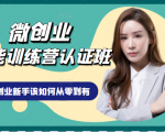微创业全能训练营认证班课程,从理论知识与实际案例手把手指导创业新手如何从零到有-6688资源库