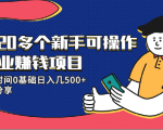 20多个新手可操作的副业赚钱项目:业余时间0基础日入几500+实操分享-6688资源库