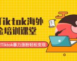 最新Tiktok海外掘金培训课堂：带你玩转Tiktok暴力涨粉轻松变现-6688资源库