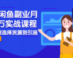 2021闲鱼副业月入过万实战课程：从开店到选择货源到引流，全程实战教学-6688资源库