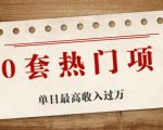 30套热门项目：单日最高收入过万 (网赚项目、朋友圈、涨粉套路、抖音、快手)等-6688资源库