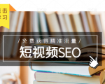 未来新趋势,布局短视频SEO,如何利用抖音SEO免费获得精准流量(3节课)-6688资源库