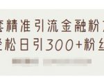 1套精准引流金融粉方法,轻松日引300+粉丝-6688资源库