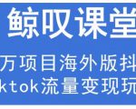 鲸叹号·海外TIKTOK训练营,百万项目海外版抖音tiktok流量变现玩法-6688资源库