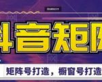 高鹏圈·抖音带货矩阵项目，起号成功率100%，出单率100%！-6688资源库