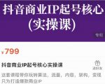 抖音商业IP起号核心实操课,带你玩转算法,流量,内容,架构,变现-6688资源库