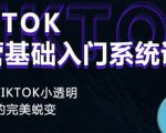 Tiktok实操进阶课程，体验从tiktok小透明到大佬的完美蜕变-6688资源库