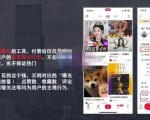 麦子互娱短视频带货·0基础做好物分享账号,无需出镜无需货源无需拍摄-6688资源库