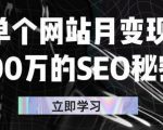 单个网站月变现100万的SEO秘密，百分百做出赚钱站点-6688资源库