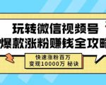玩转微信视频号爆款涨粉赚钱全攻略，快速涨粉百万变现万元秘诀-6688资源库
