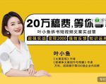 叶小鱼21天短视频文案拆书营，学完轻松搞定各类书单短视频文案-6688资源库