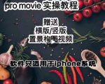 漆十二美食摄影,25节promovie实操高手课节-6688资源库