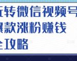 玩转微信视频号爆款涨粉赚钱全攻略，让你快速抓住流量风口，收获红利财富-6688资源库