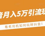 老古董·抖音月入5万引流玩法,看看老司机如何玩转抖音(附赠:抖音另类引流思路)-6688资源库